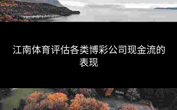 江南体育评估各类博彩公司现金流的表现