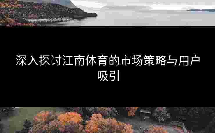 深入探讨江南体育的市场策略与用户吸引